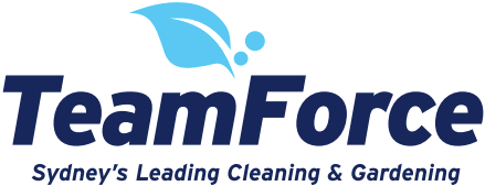 TeamForce Logo